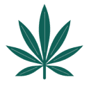 Logo CBDOO