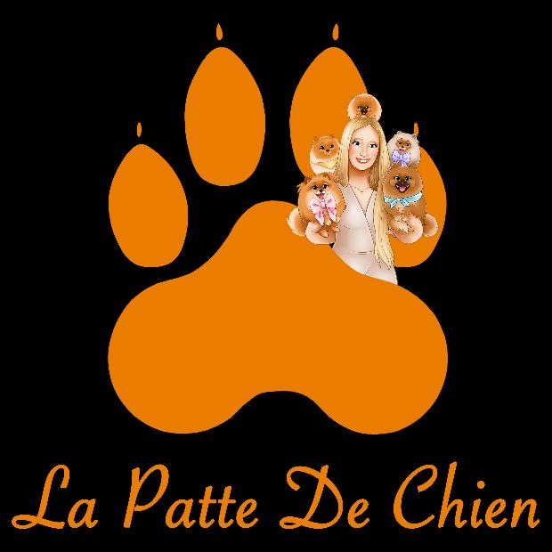 Logo La Patte De Chien